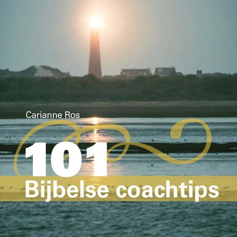 101BijbelseCoachtips